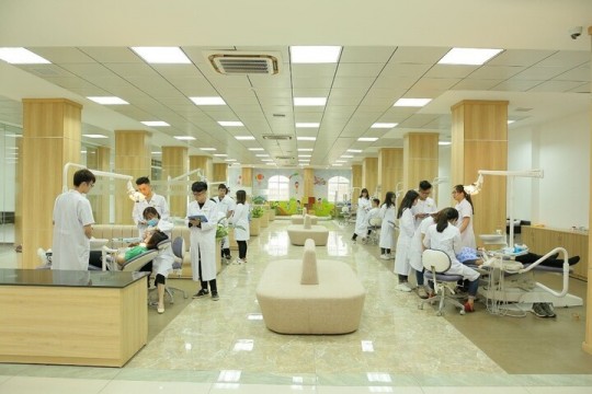NGƯỜI HỌC ĐẠI HỌC ĐANG MUỐN HỌC GÌ VÀ HỌC NHƯ THẾ NÀO ?